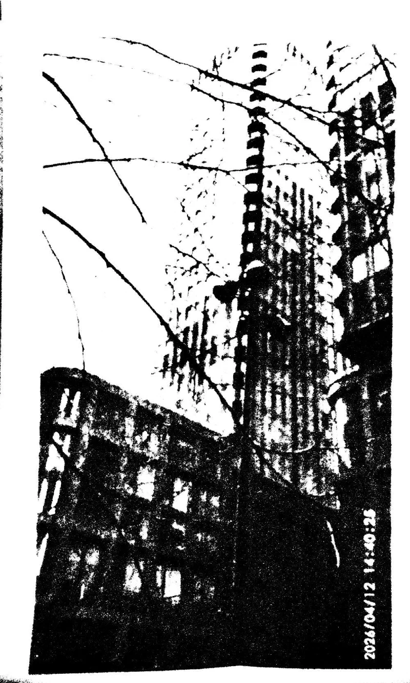 Archive photograph, Photography, 2026