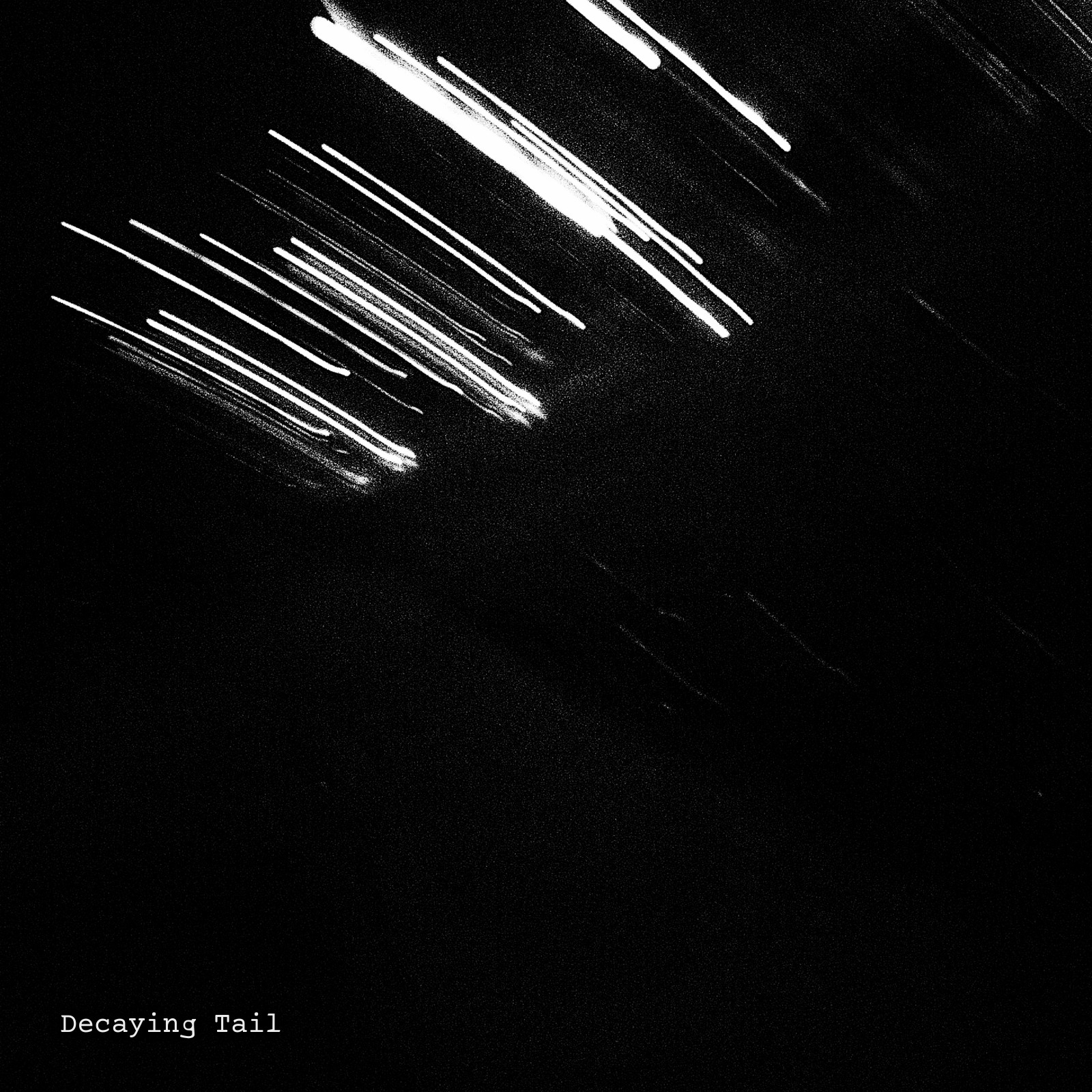 Cover of Decaying Tail