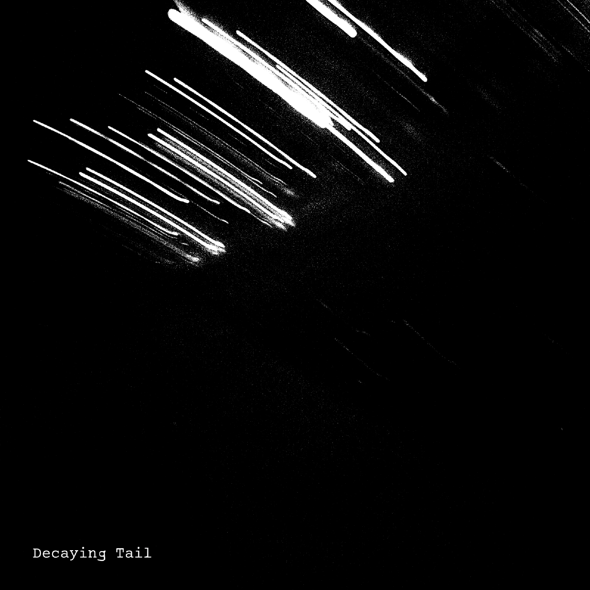 Cover of Decaying Tail