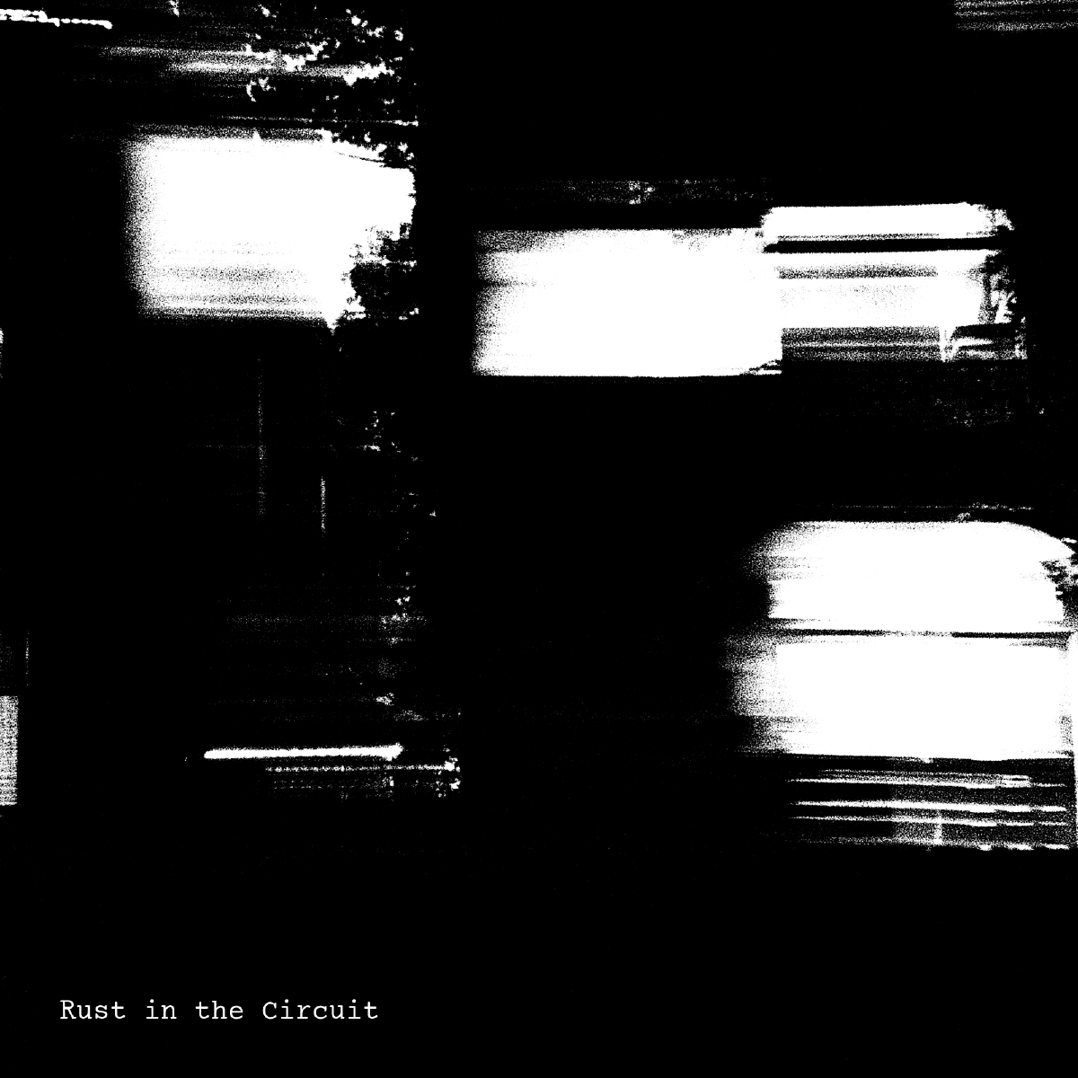 Cover of Rust in the Circuit